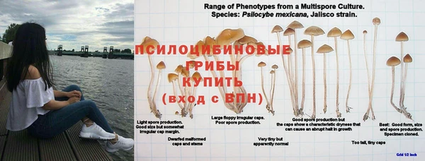 mdma Верхнеуральск