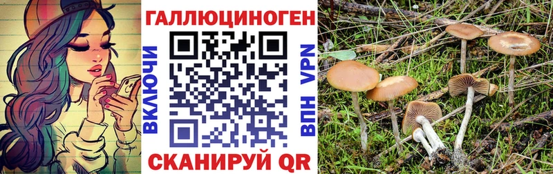 Галлюциногенные грибы мухоморы  Мариинск 