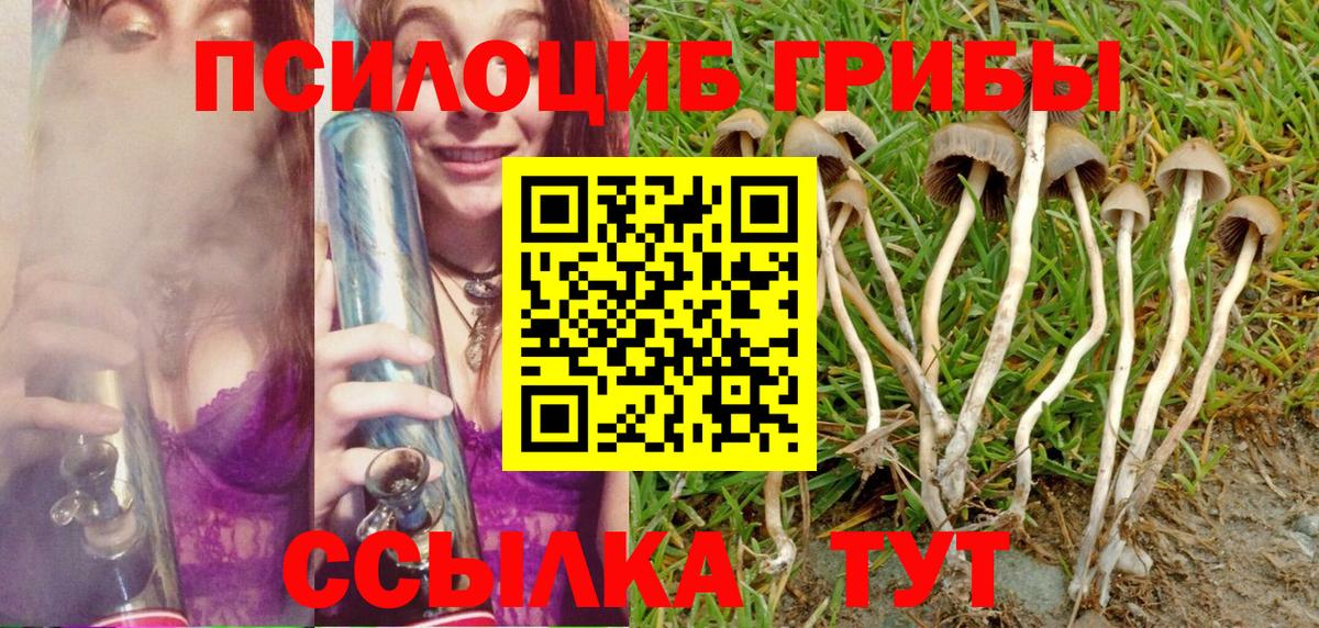 Галлюциногенные грибы GOLDEN TEACHER  Вход с VPN  Мариинск 