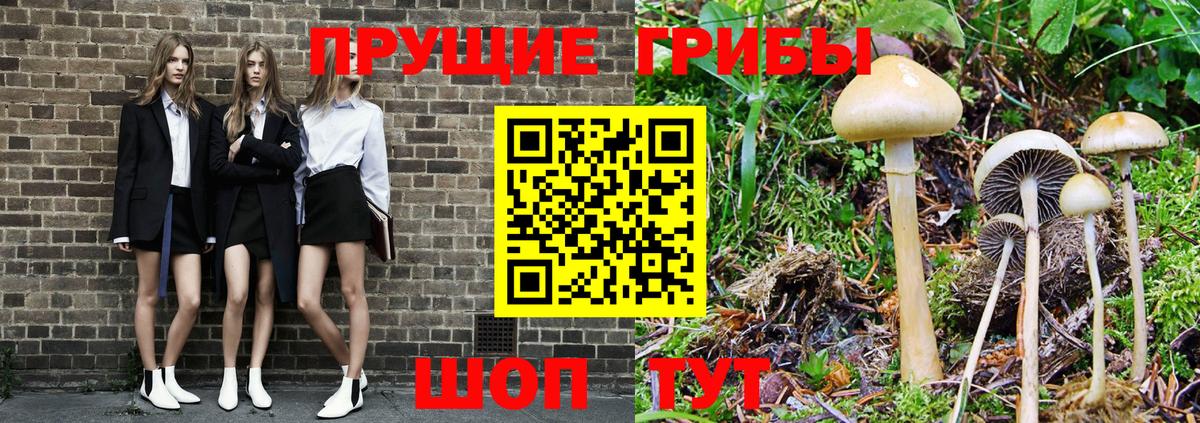 Галлюциногенные грибы Psilocybine cubensis Мариинск